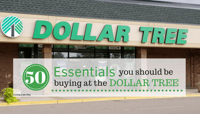 Looking to save money on every day essentials. Then you have to start shopping at the dollar tree so you can join in on the great deals.