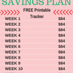 Looking to save money this Christmas season. Come try out this christmas savings plan! I can't believe how much money I saved using this!