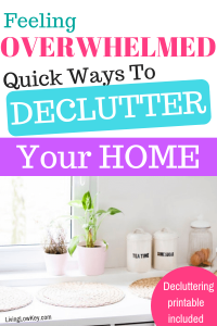 What a great article! I can't wait to start decluttering my house today.