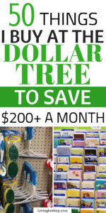 The Best Things To Buy At The Dollar Tree And What To Avoid