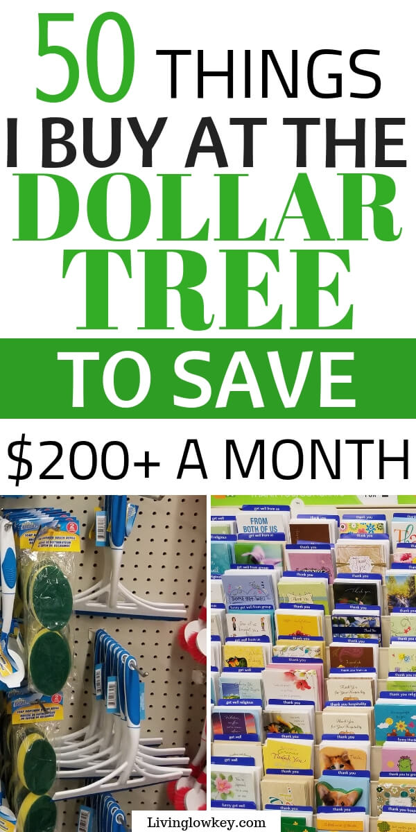 The Best Things To Buy At The Dollar Tree And What To Avoid 1128