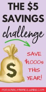 You'll love this money challenge. Save every $5 bill you come across with this savings challenge. 