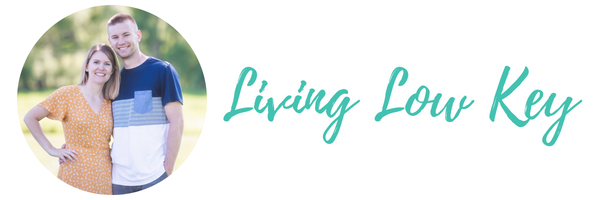 Living Low Key logo