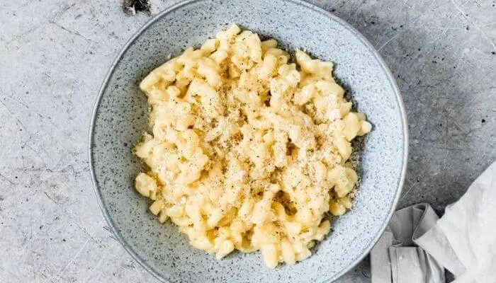 https://livinglowkey.com/wp-content/uploads/2020/08/instant-pot-mac.jpg.webp