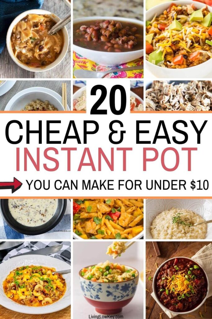 20 Cheap Instant Pot Recipes Under $10 (You Need To Try These)