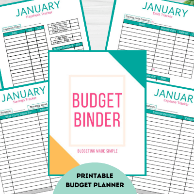 best budget planner for mac