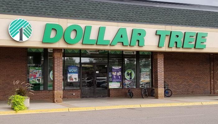 The Best Things To Buy At The Dollar Tree And What To Avoid