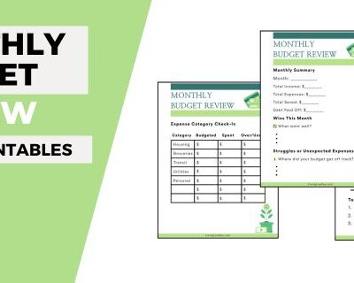 monthly budget review