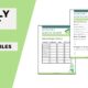 monthly budget review